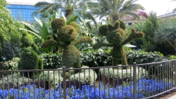 Disneyland Hotel Tour